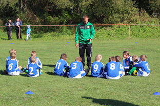 开云LOL-球队教练组是否借助VAR数据辅助赛后战术修复，球员 教练